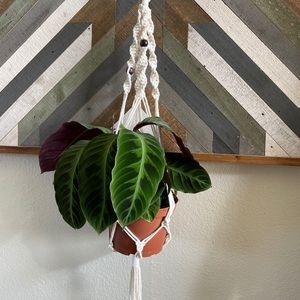 Macrame planter